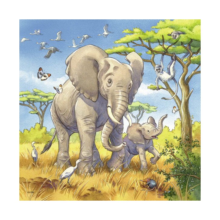 Puzzle Animale, 3X49 Piese