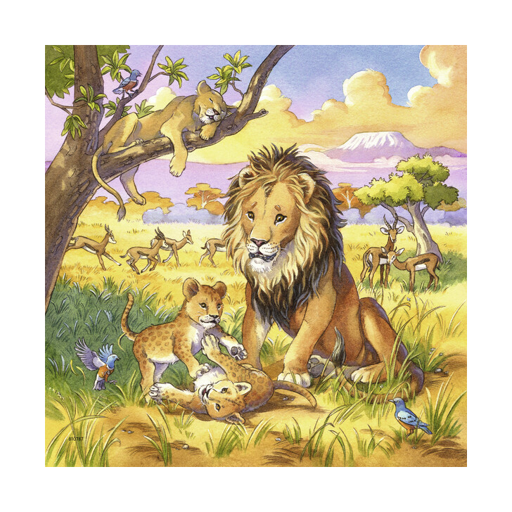 Puzzle Animale, 3X49 Piese