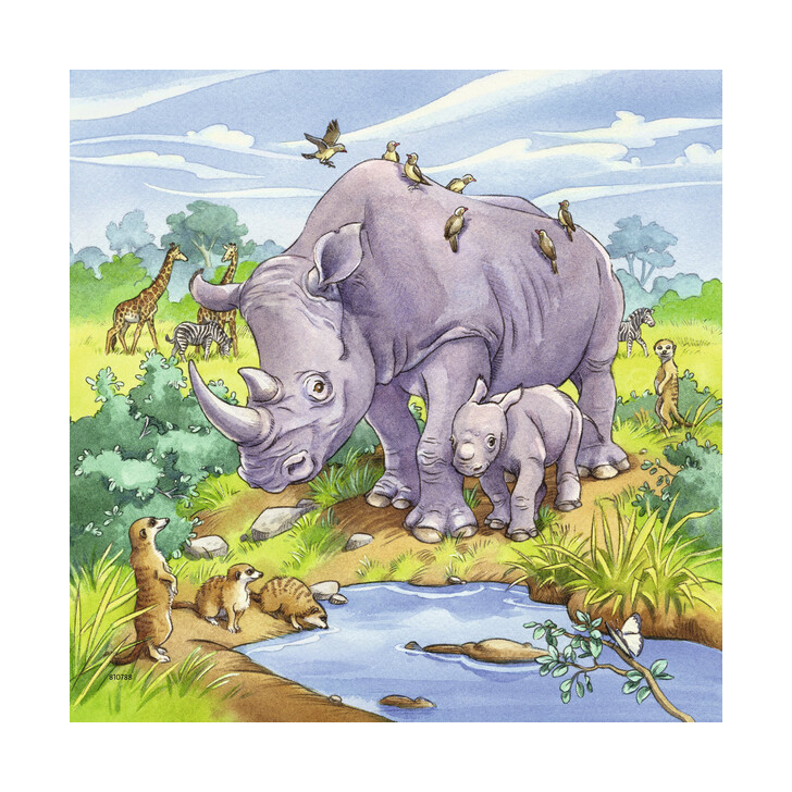 Puzzle Animale, 3X49 Piese