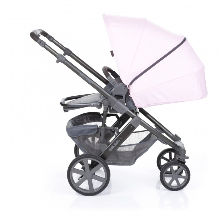 Carucior 2 in 1 Salsa 4 Rose ABC Design