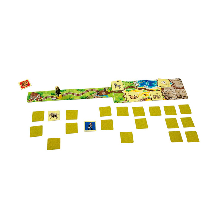 Joc cooperativ de memorie - Gradina Zoo (ZooMemo)