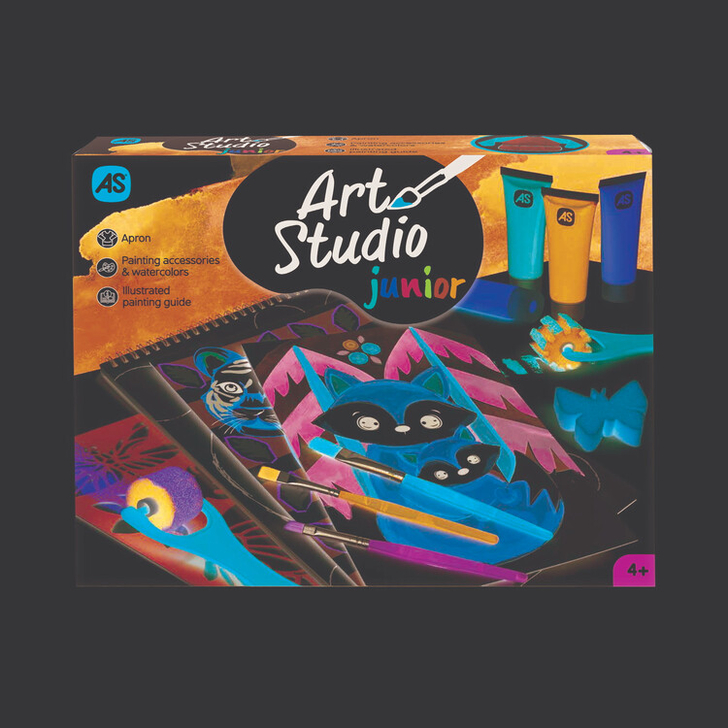 ATELIERUL DE PICTURA ART STUDIO JUNIOR